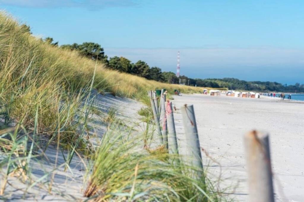 Ferienhaus Sanddorn Breege- Zwischen Bodden & Meer Luaran gambar