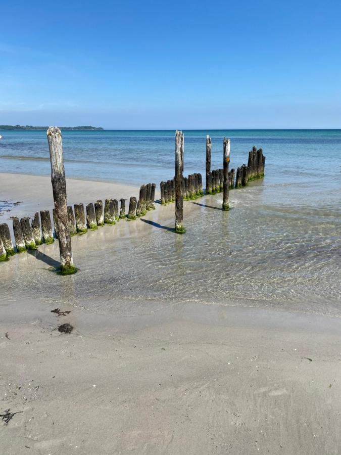 Ferienhaus Sanddorn Breege- Zwischen Bodden & Meer Luaran gambar